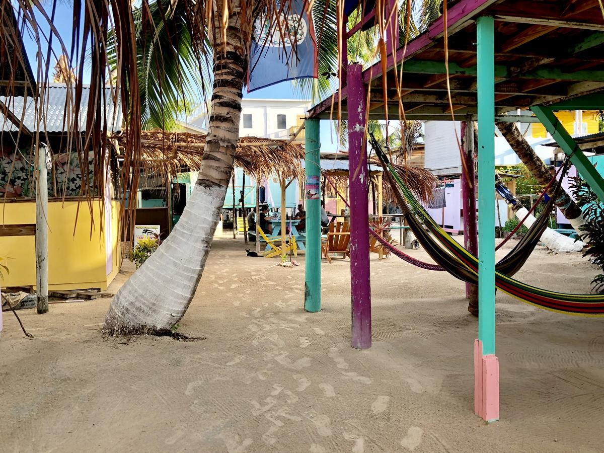 Tropical Oasis Caye Caulker Exterior foto