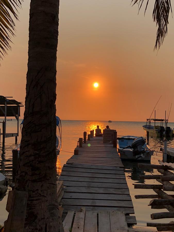 Tropical Oasis Caye Caulker Exterior foto