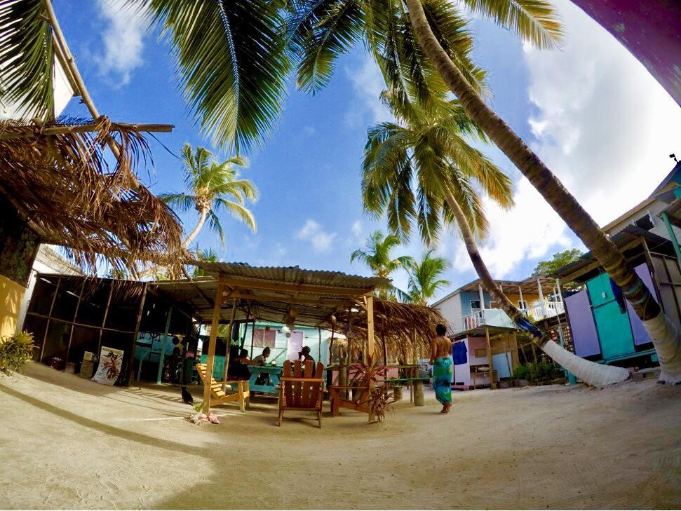 Tropical Oasis Caye Caulker Exterior foto